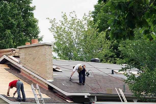 Best Roof Gutter Cleaning  in Bethel, OH